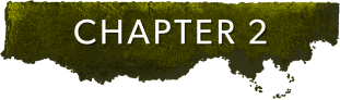 Chapter 2