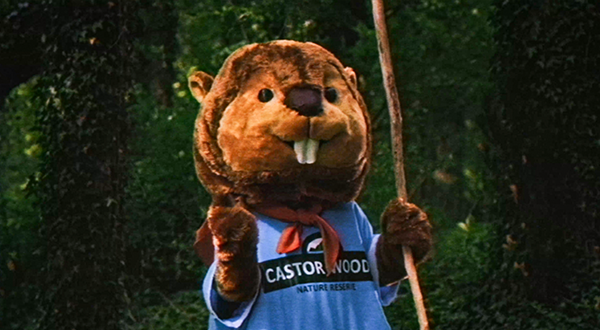 Your Next Great Adventure