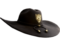Sheriff's Hat
